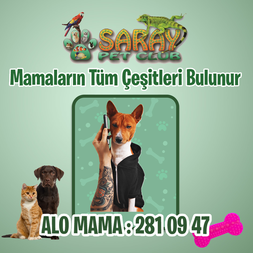 Ankara Saray Pet Shop