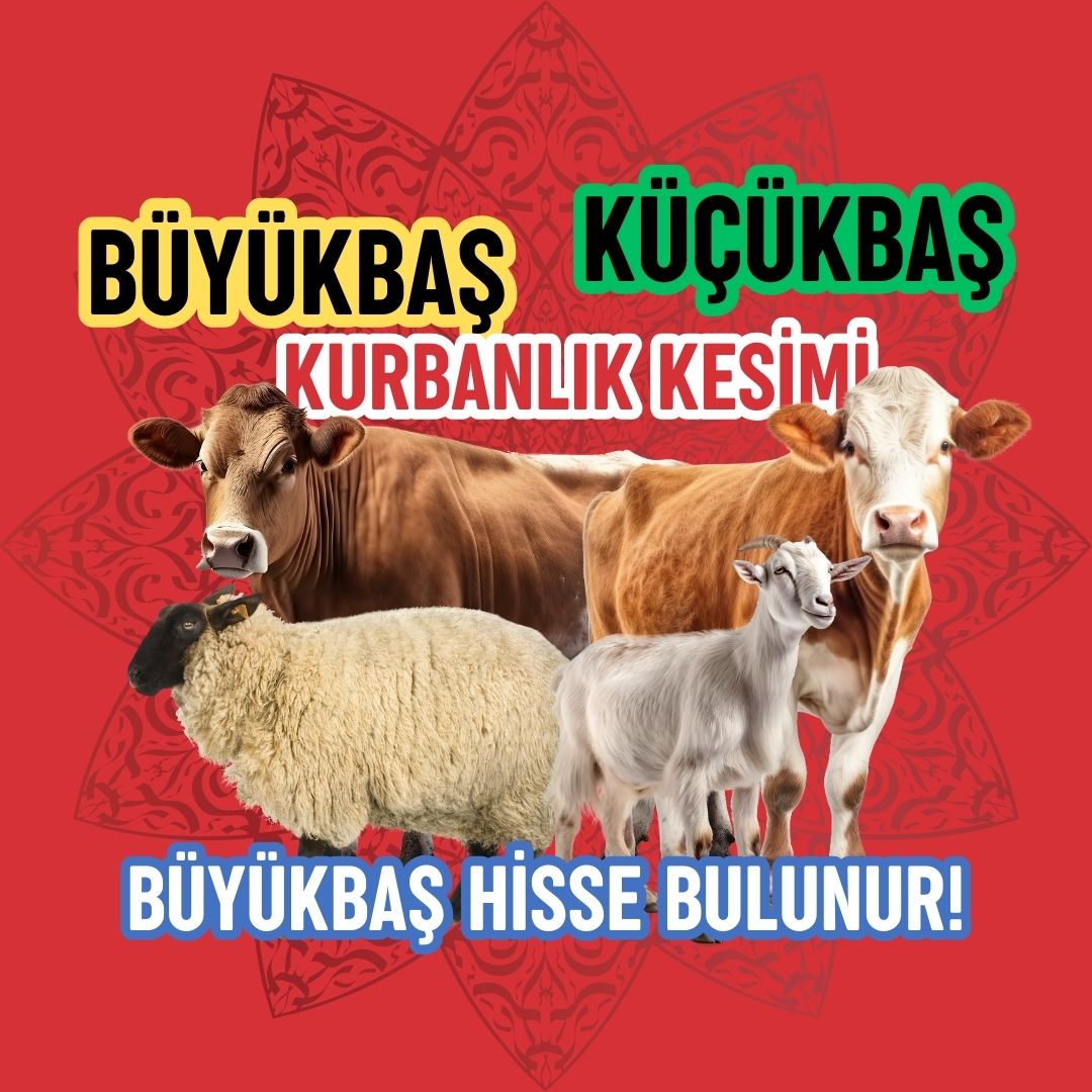 GÜLLER KASAP ŞARKÜTERİ SAKATAT yöresel ürünler